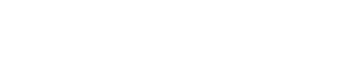 Colonial Bag logo